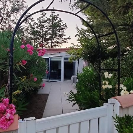 Maison Jardin Wifi - Climatisation - 100 M Plage Sauvage - 20 Min Perpignan トレイユ エクステリア 写真