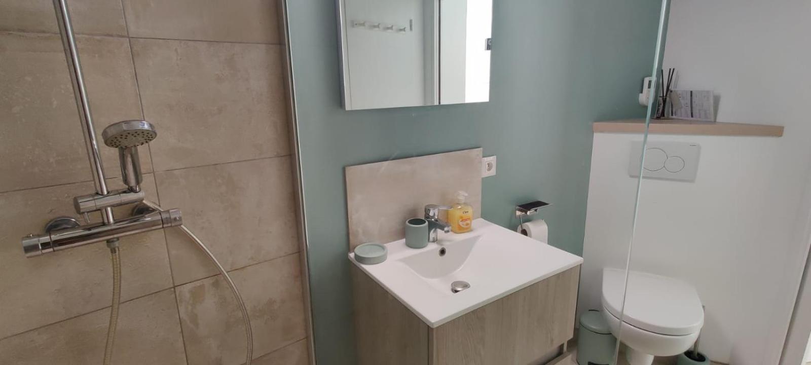 Maison Jardin Wifi - Climatisation - 100 M Plage Sauvage - 20 Min Perpignan トレイユ エクステリア 写真