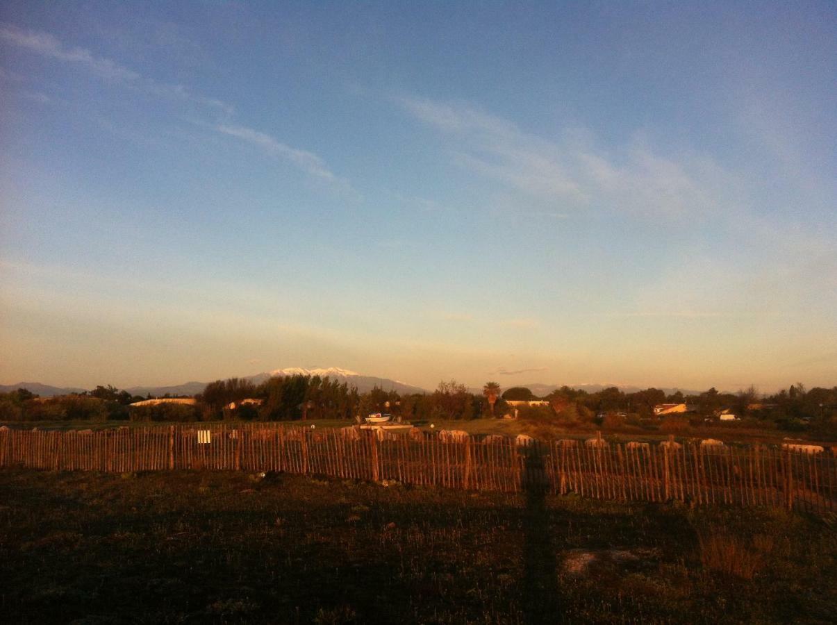 Maison Jardin Wifi - Climatisation - 100 M Plage Sauvage - 20 Min Perpignan トレイユ エクステリア 写真