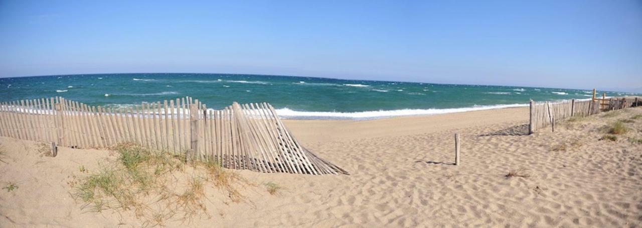 Maison Jardin Wifi - Climatisation - 100 M Plage Sauvage - 20 Min Perpignan トレイユ エクステリア 写真